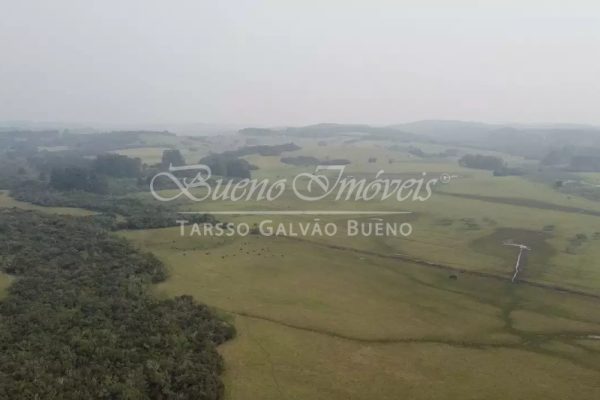 Fazenda à venda com 4.000.000m² no bairro Aberta dos Morros em Porto Alegre - Foto 5